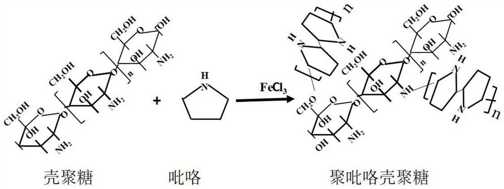 A kind of 3D polypyrrole chitosan gelatin composite conductive material and preparation method thereof