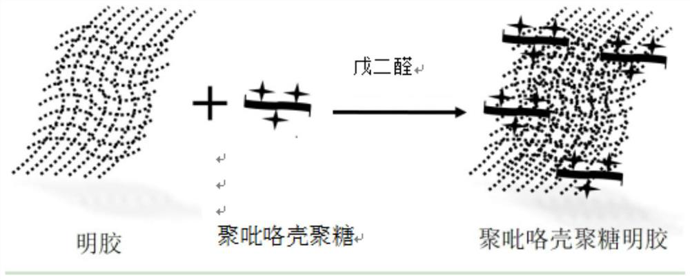 A kind of 3D polypyrrole chitosan gelatin composite conductive material and preparation method thereof