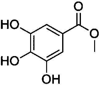 Methyl gallate analogue and application thereof