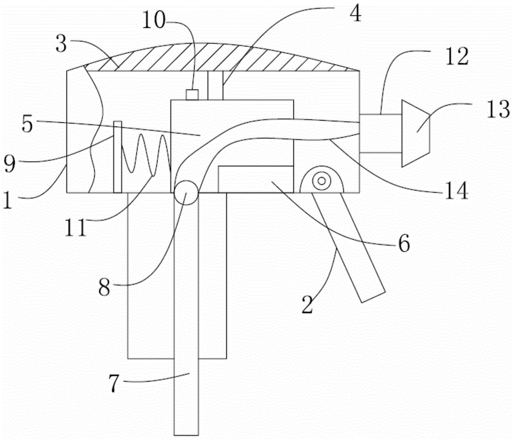 Spraying device