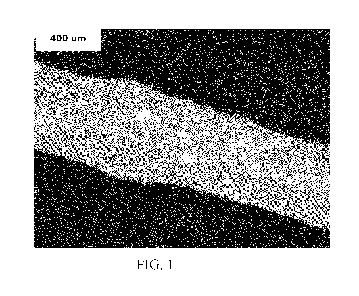 Polyamide/polyphenylene ether fibers and fiber-forming method