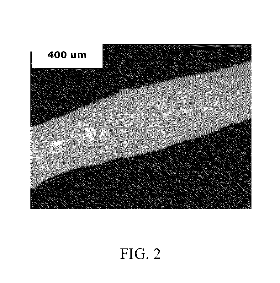 Polyamide/polyphenylene ether fibers and fiber-forming method