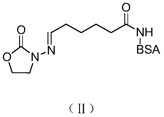 Preparation of immunizing antigens and envelope antigens for detecting furazolidone metabolites