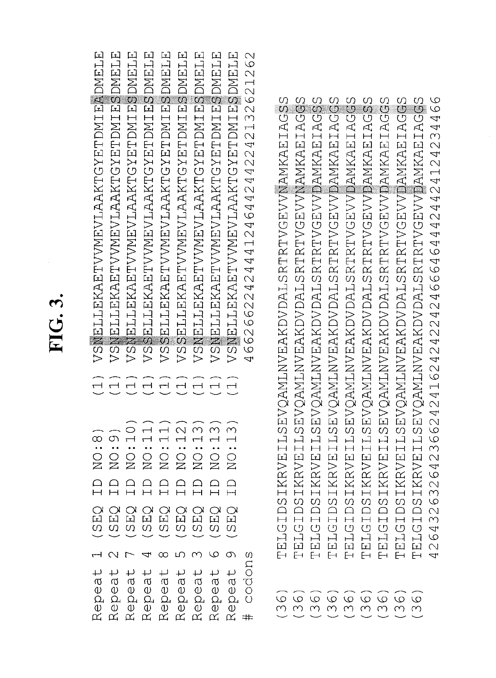 Process for designing diverged, codon-optimized large repeated DNA sequences