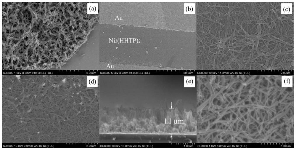 a ni-based  <sub>3</sub> (hhtp)  <sub>2</sub> Conductive thin film field effect transistor and its preparation method