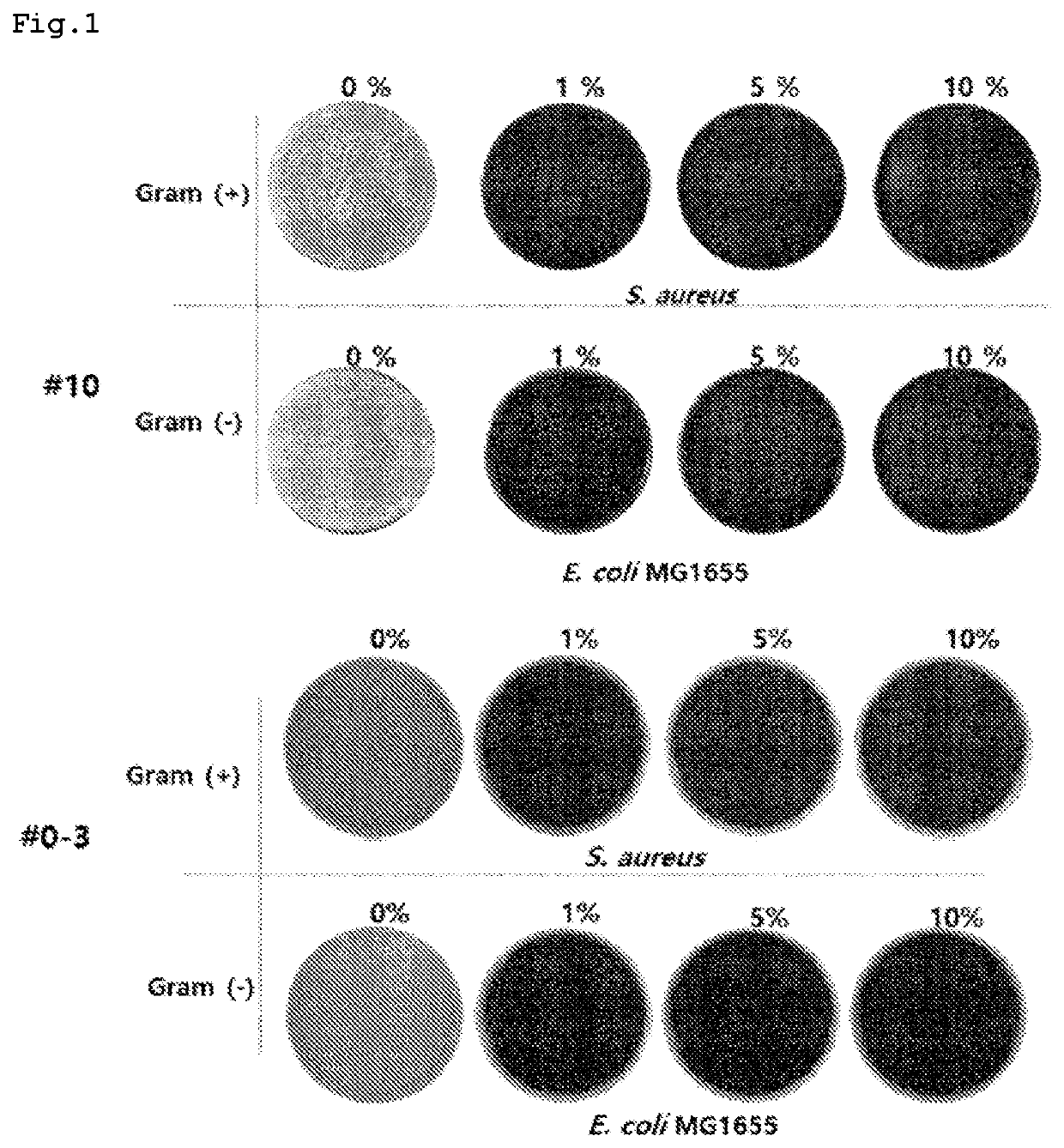 Method for preparation of antibacterial bio-filler for plastic and antibacterial bio-filler for plastic prepared thereby