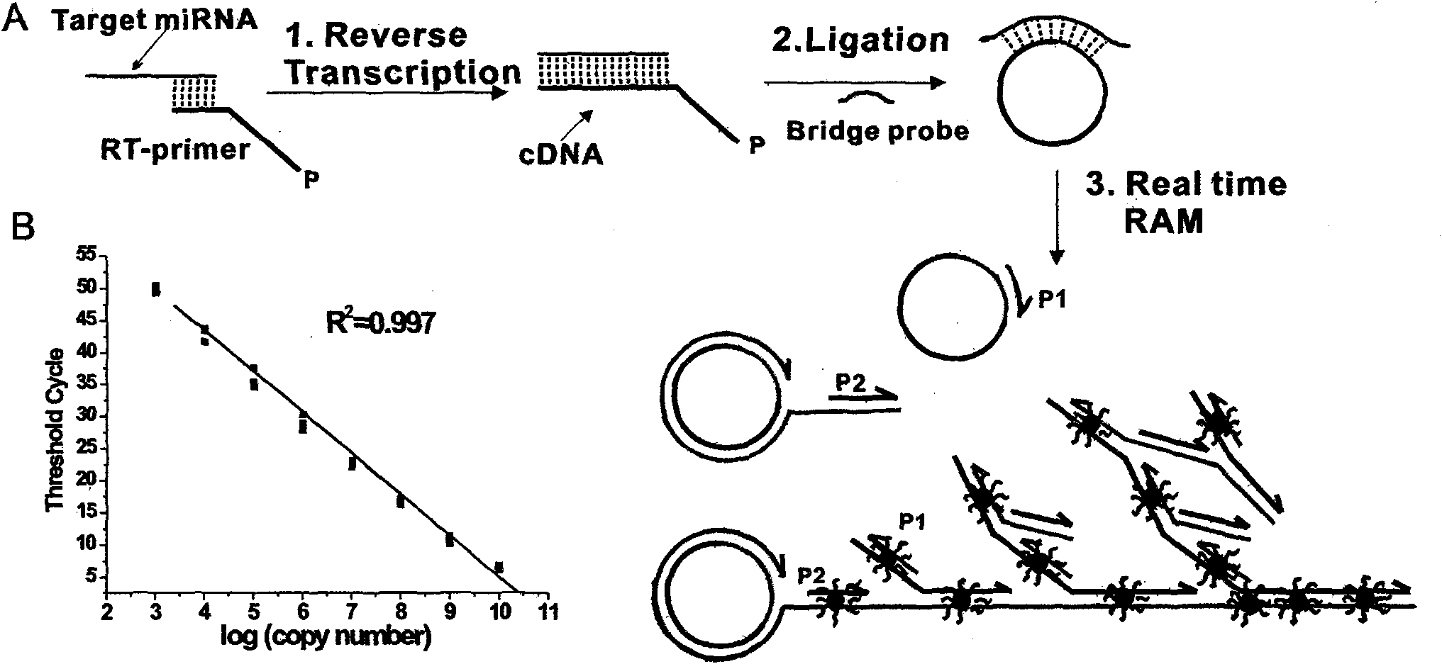 Method and kit for detecting small RNA