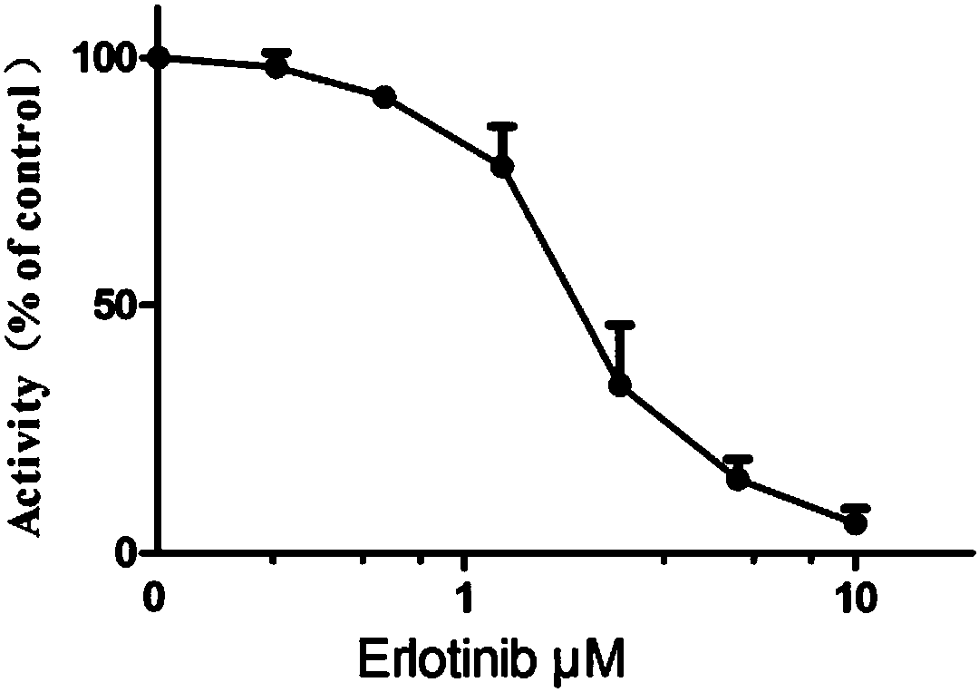 Application of erlotinib in preparation of FLT3 inhibitor-type medicine