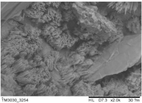 Sulphate-attack-resistant concrete admixture and preparation method thereof