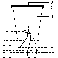 Use method of field direct seeding and seedling raising device