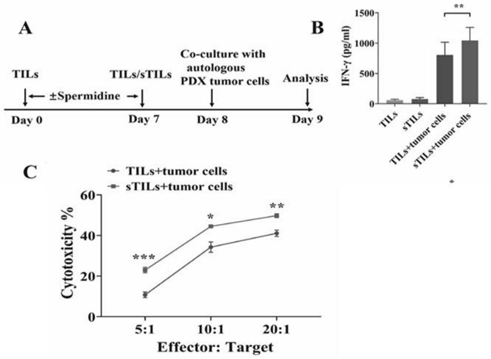 Method for enhancing anti-tumor effect of immune cells