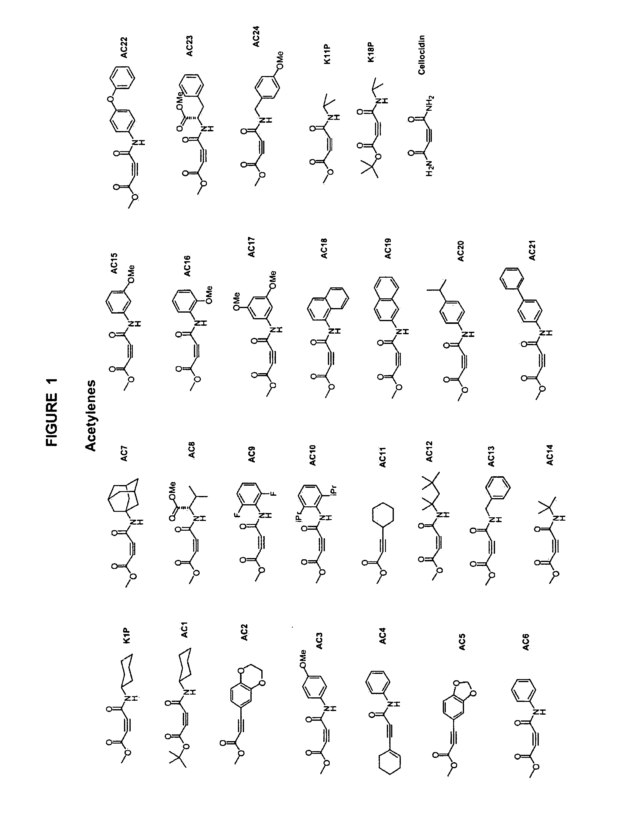 Compounds and methods for treating tumors, cancer and hyperproliferative diseases