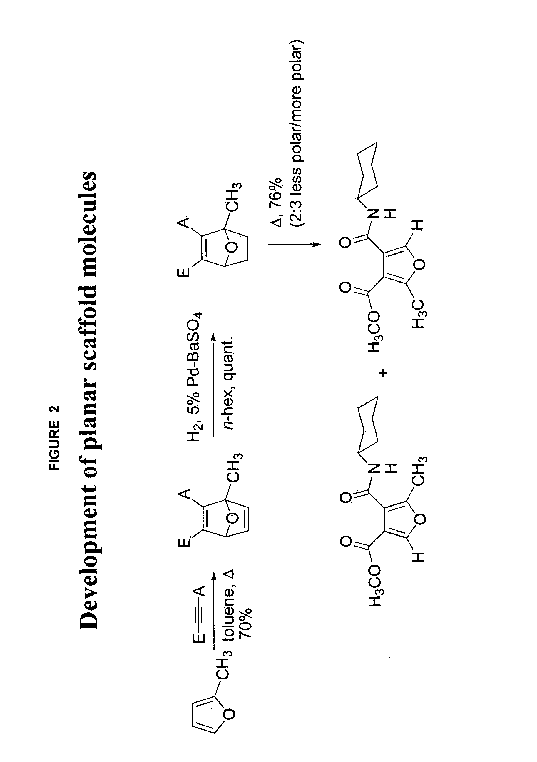 Compounds and methods for treating tumors, cancer and hyperproliferative diseases