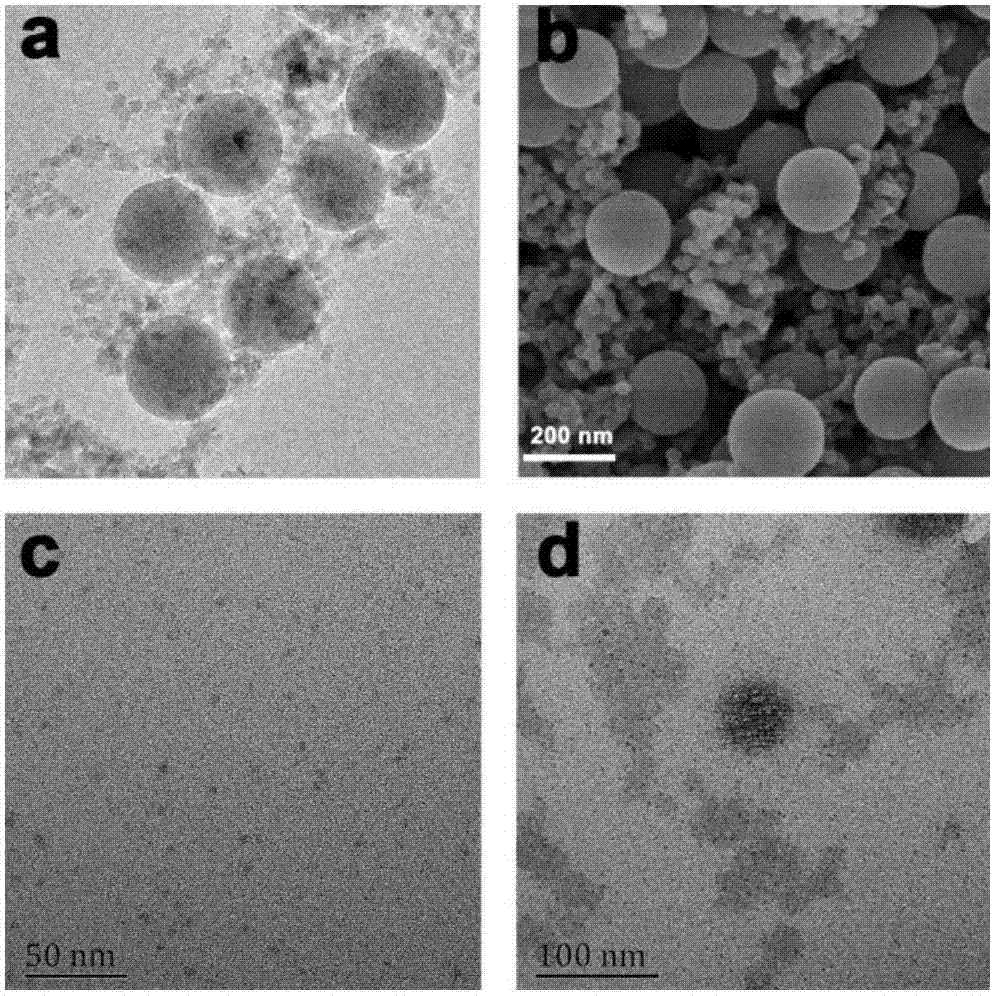 Molybdenum disulfide quantum dot loaded periodic mesoporous organic-silicon nano drug loading compound preparation method