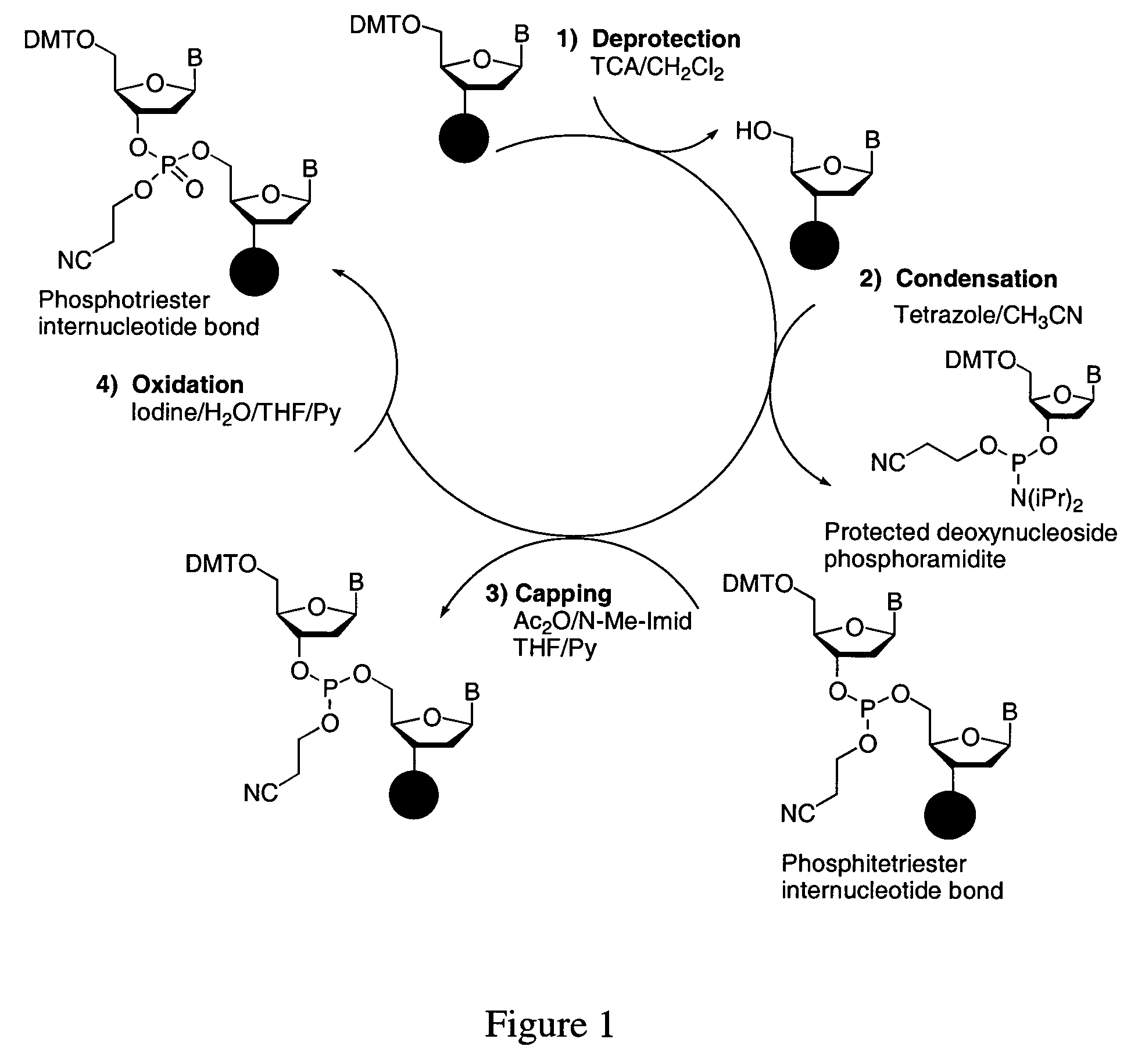 Cleavable linker for polynucleotide synthesis
