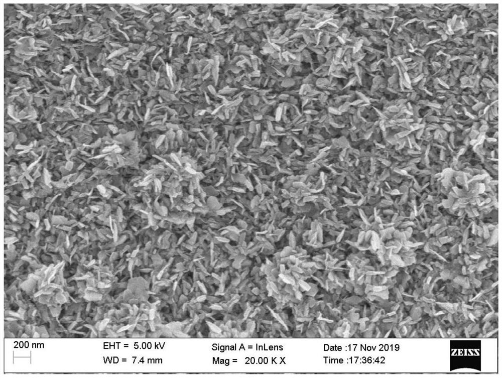 Preparation method of rare earth doped indium sulfide nanosheet film photoanode and product thereof