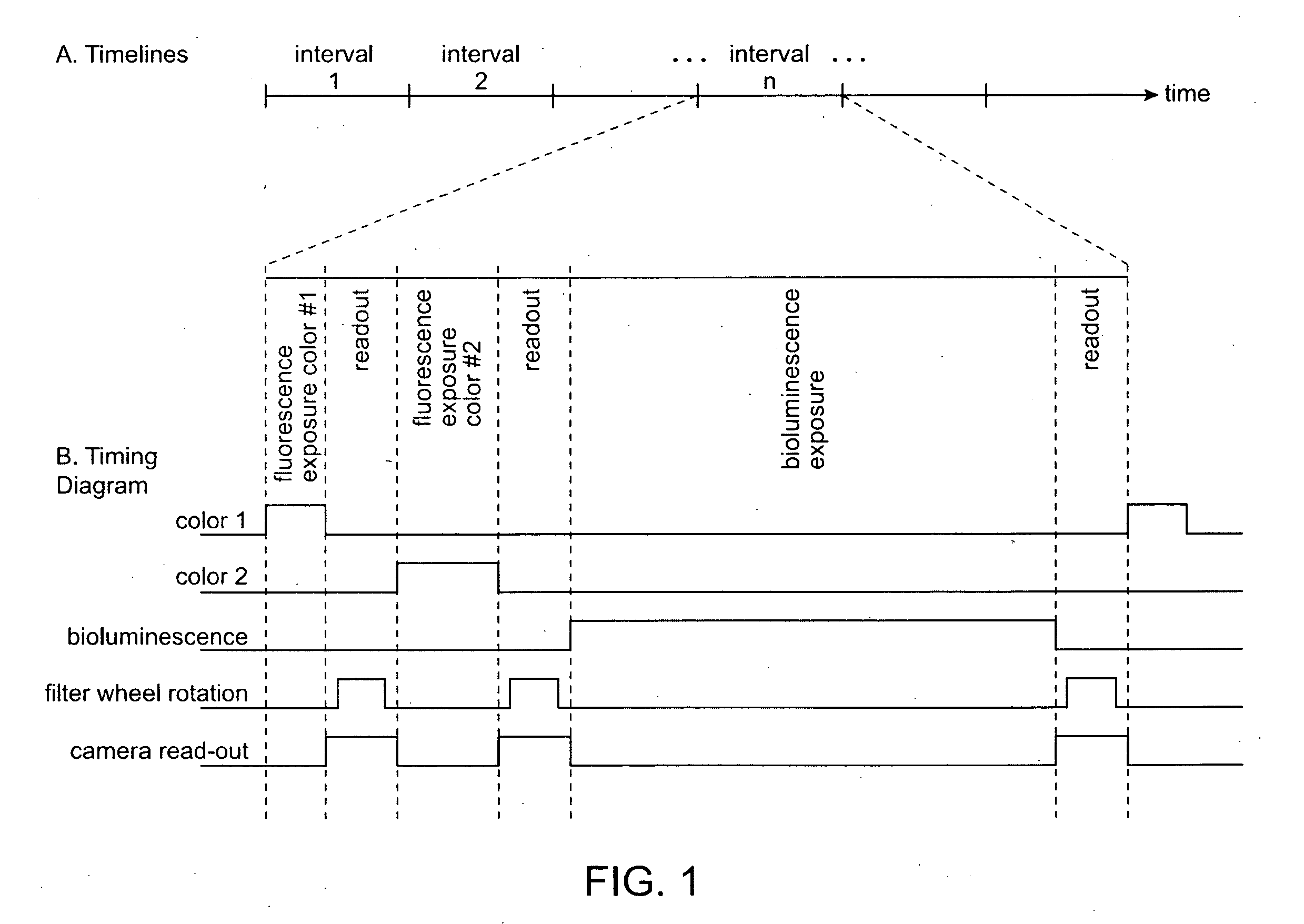 Apparatus and Method for Interleaving Detection of Fluorescence and Luminescence