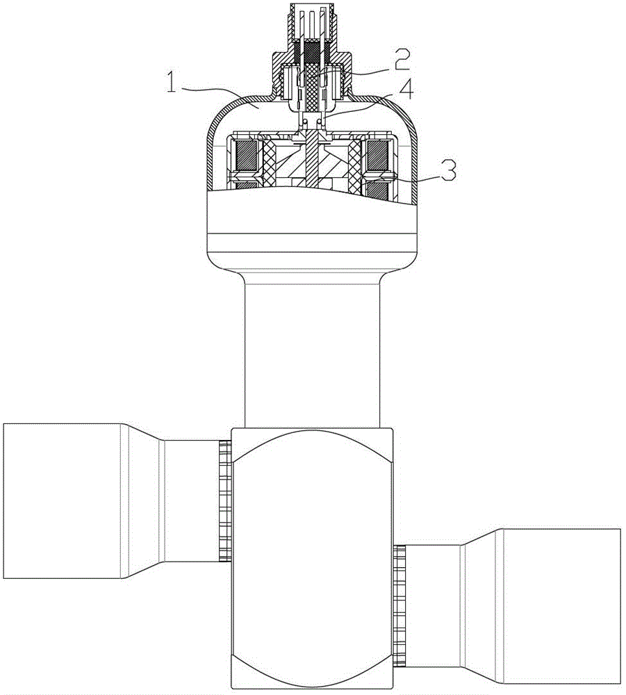 Electronic expansion valve and insertion component thereof