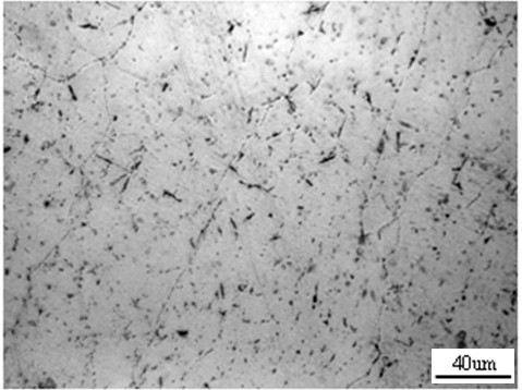 Multicomponent heat-resistant magnesium alloy taking Sn and Gd as main components and preparation method thereof