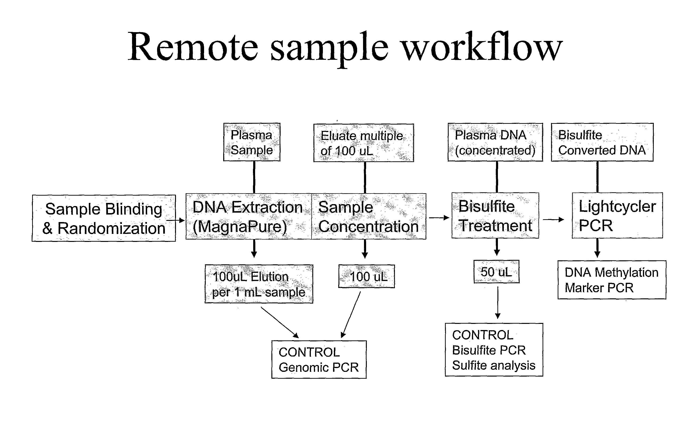 Method for providing DNA fragments derived from a remote sample