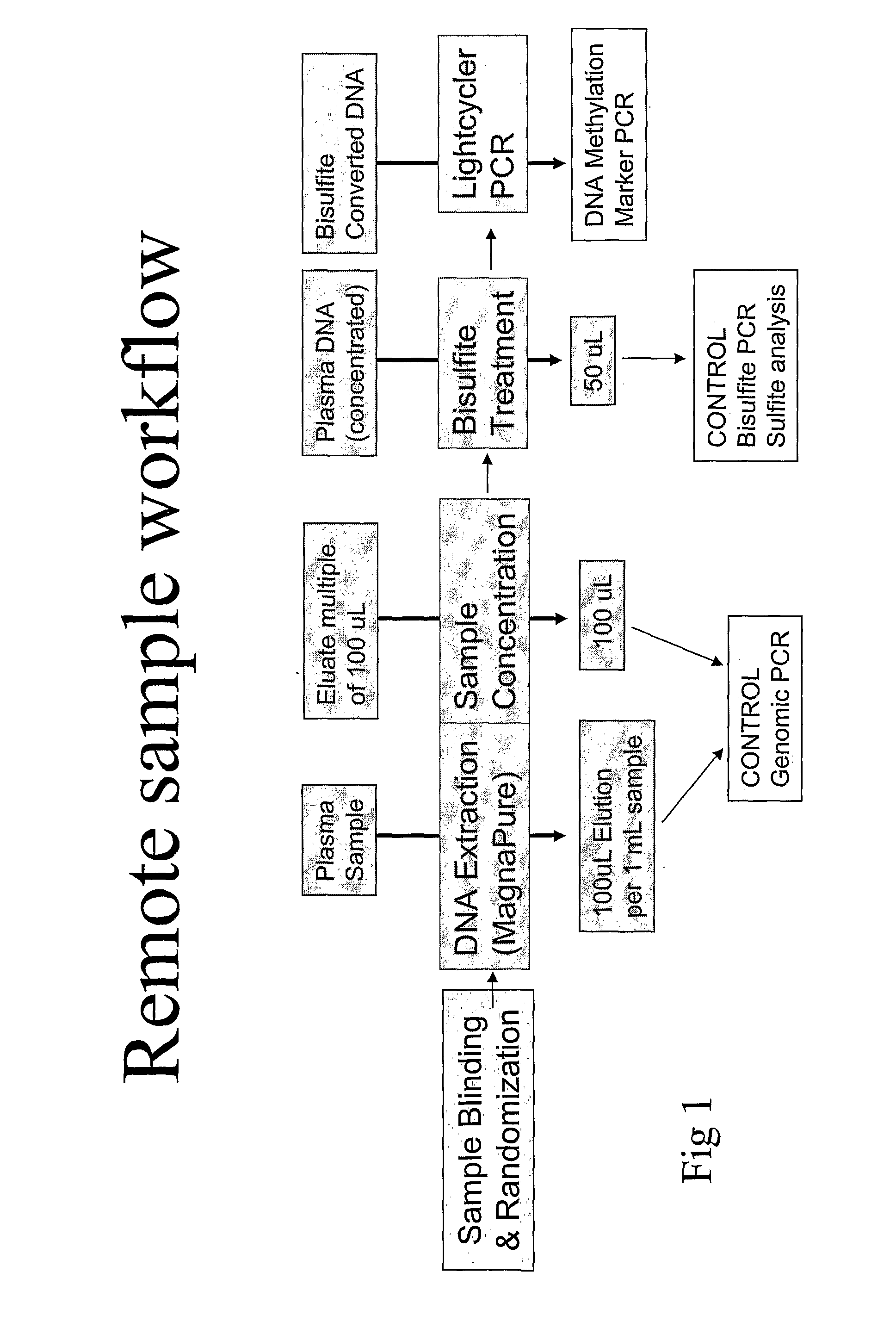 Method for providing DNA fragments derived from a remote sample