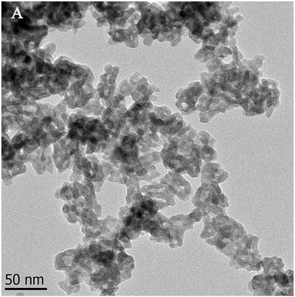Preparation method and application of copper sulfide nanocapsule particle