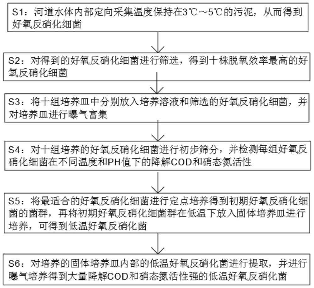 Enrichment and separation method of low-temperature aerobic denitrifying bacteria