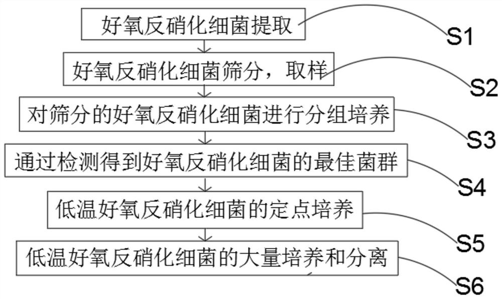 Enrichment and separation method of low-temperature aerobic denitrifying bacteria