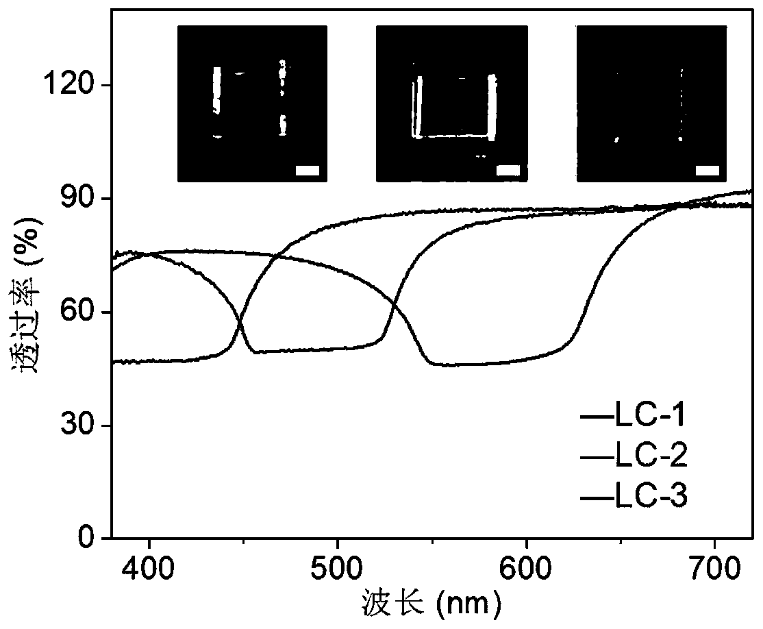 Liquid crystal laser display panel and construction method thereof