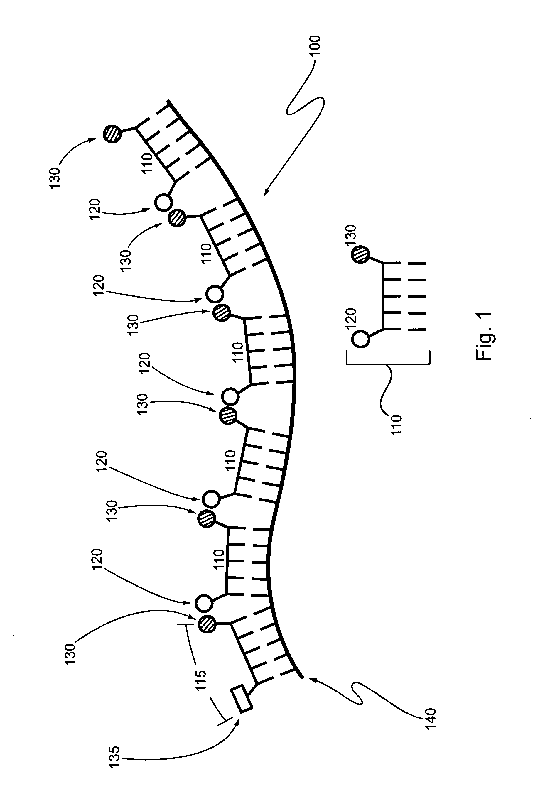 Helicase-assisted sequencing with molecular beacons