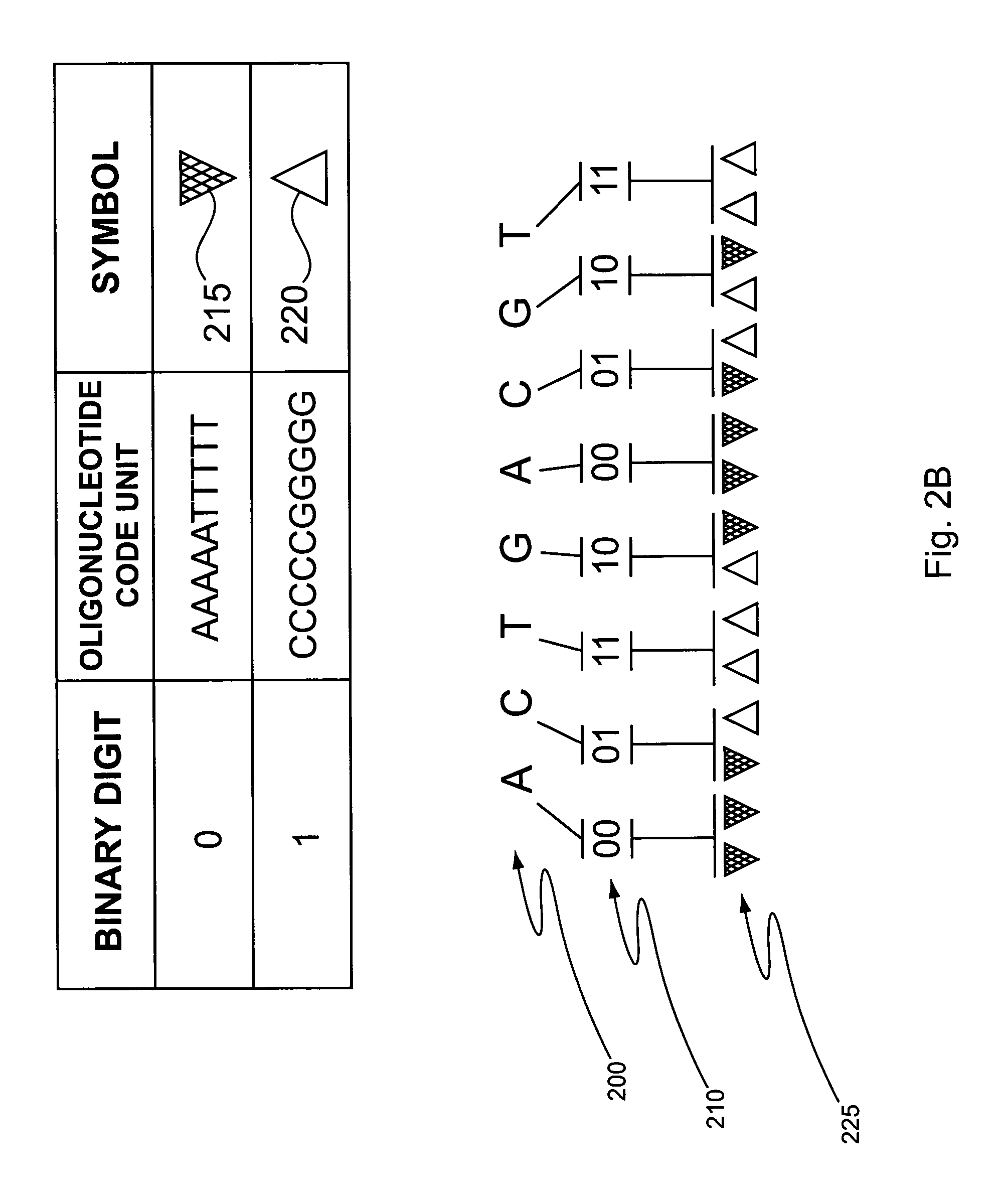 Helicase-assisted sequencing with molecular beacons