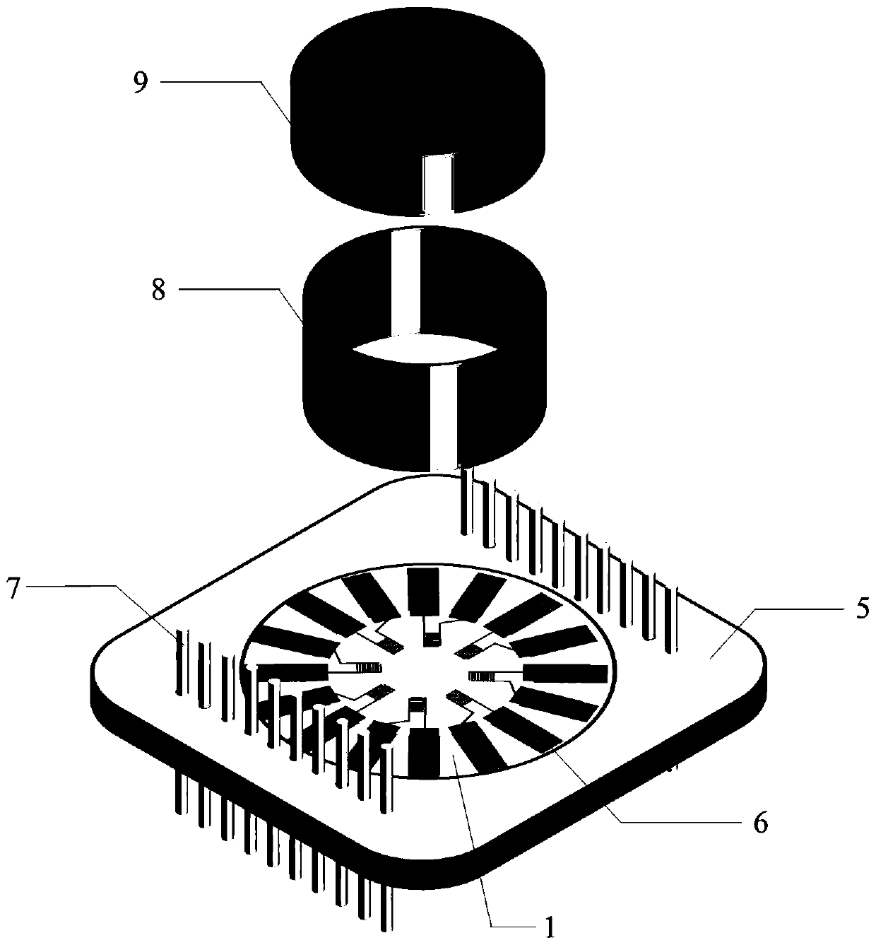 Interdigital arrangement conductive nanotube sensing device for cardiac muscle cell multi-element activity detection