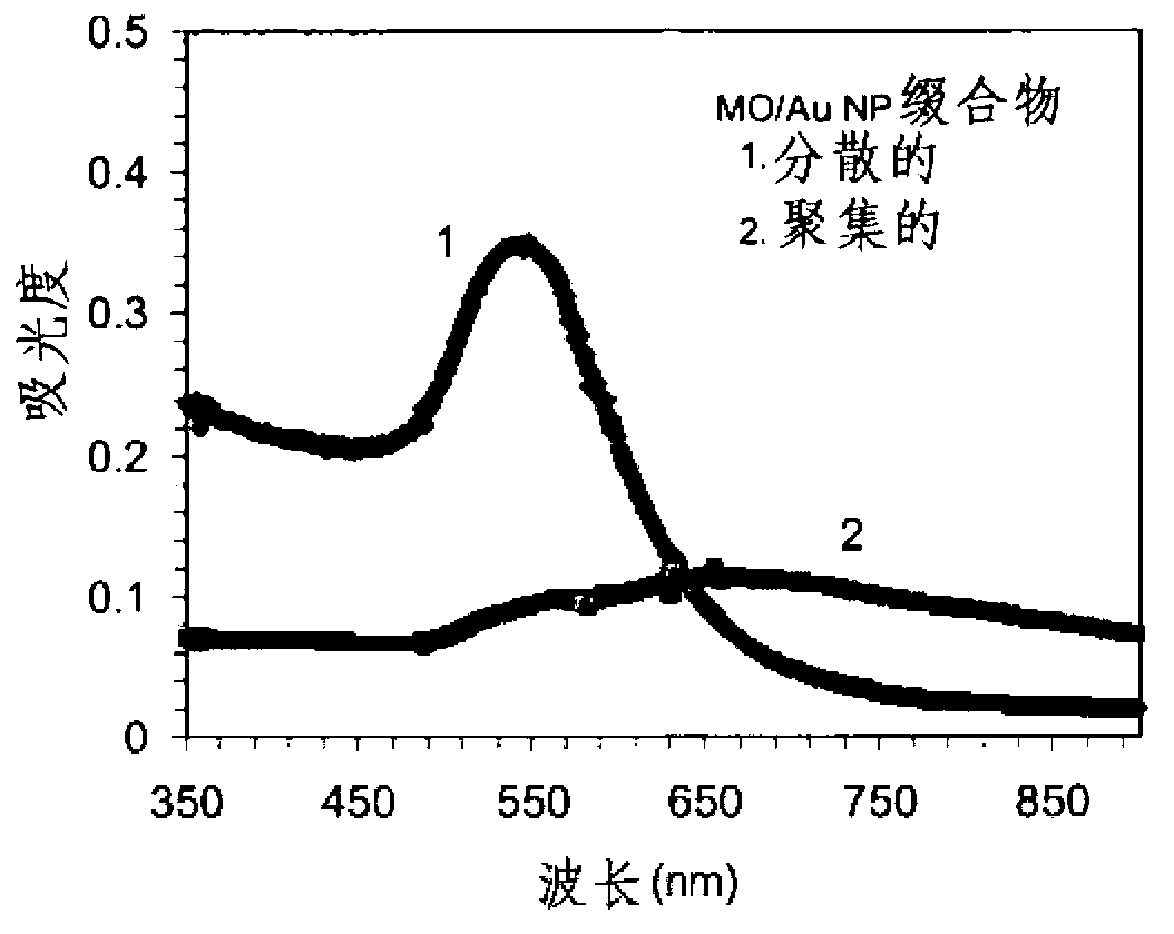 Sequence-selective recognition of nucleic acids using nanoparticle probes