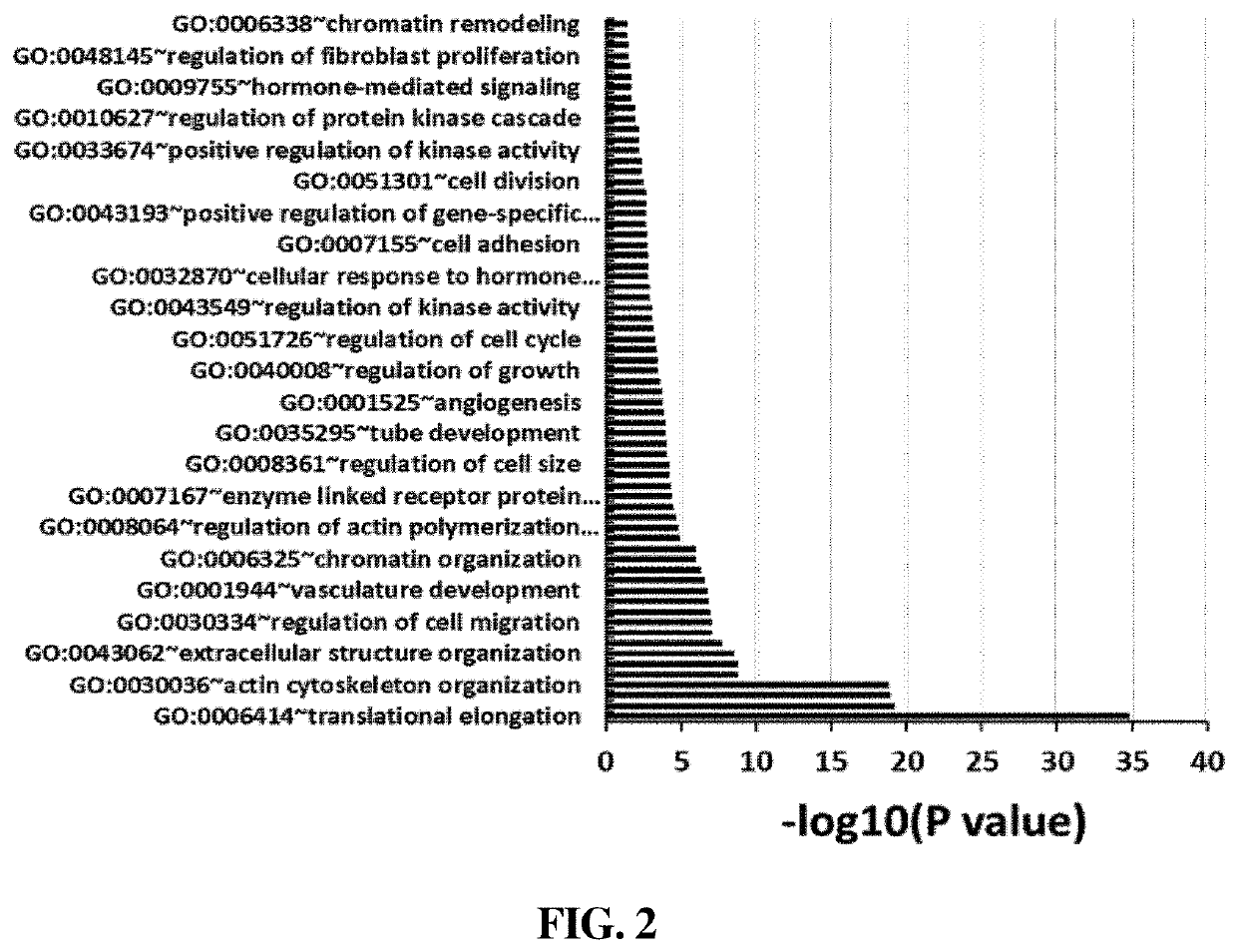 Composition for skin regeneration and wound healing, comprising induced exosomes