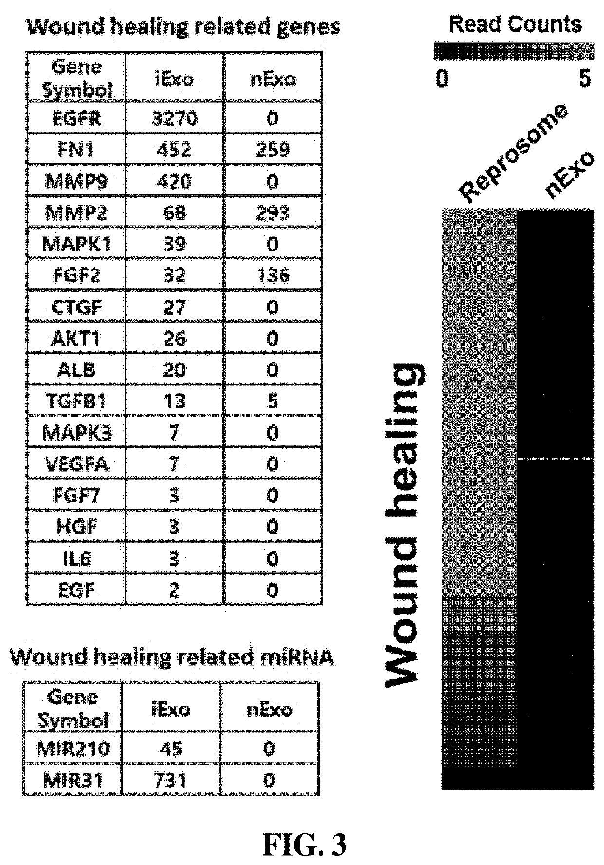 Composition for skin regeneration and wound healing, comprising induced exosomes