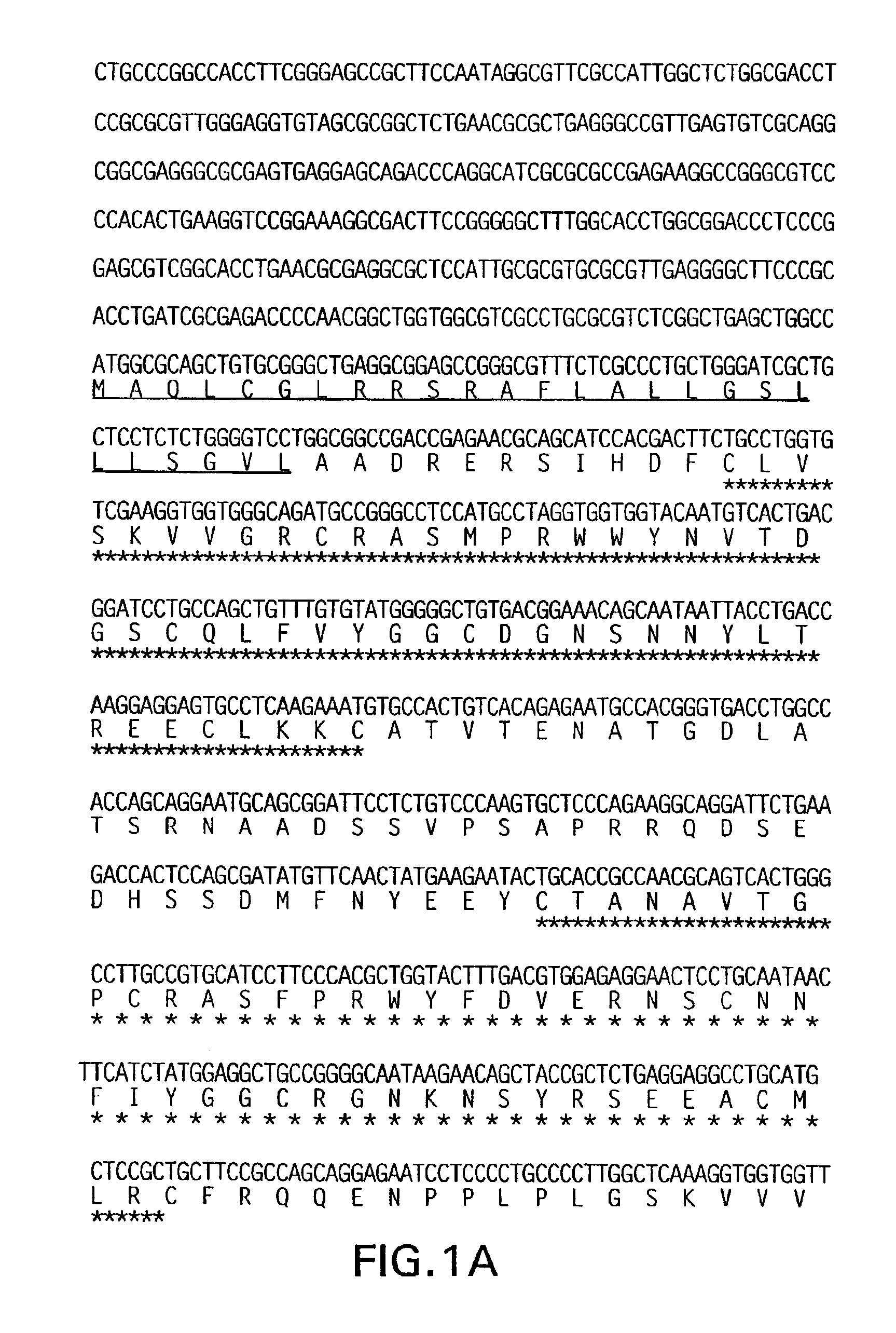 Tissue factor pathway inhibitor-3