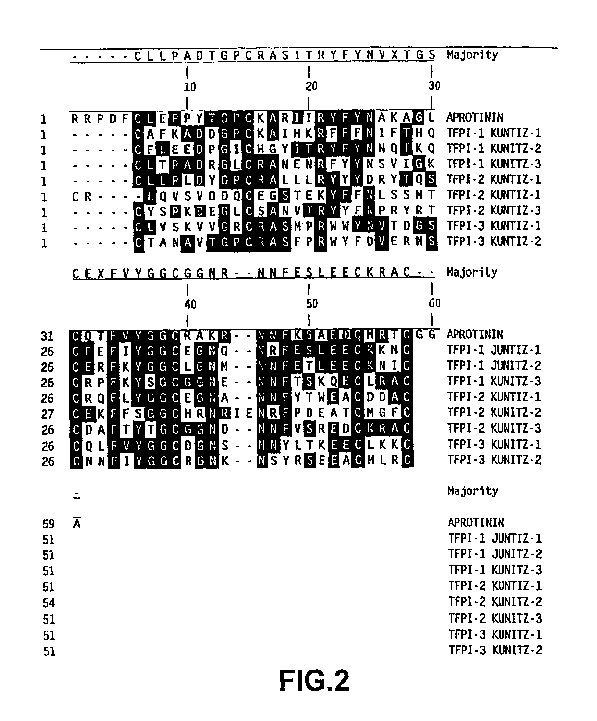 Tissue factor pathway inhibitor-3