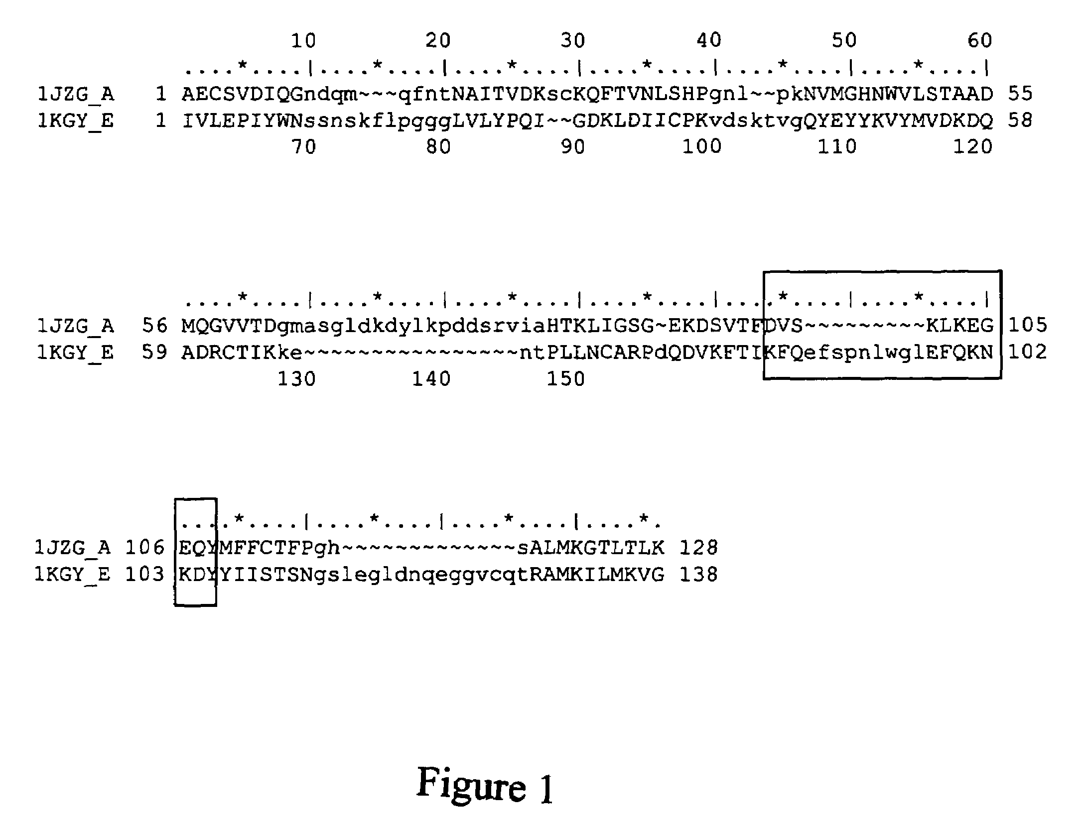 Compositions and methods for treating conditions related to ephrin signaling with cupredoxins