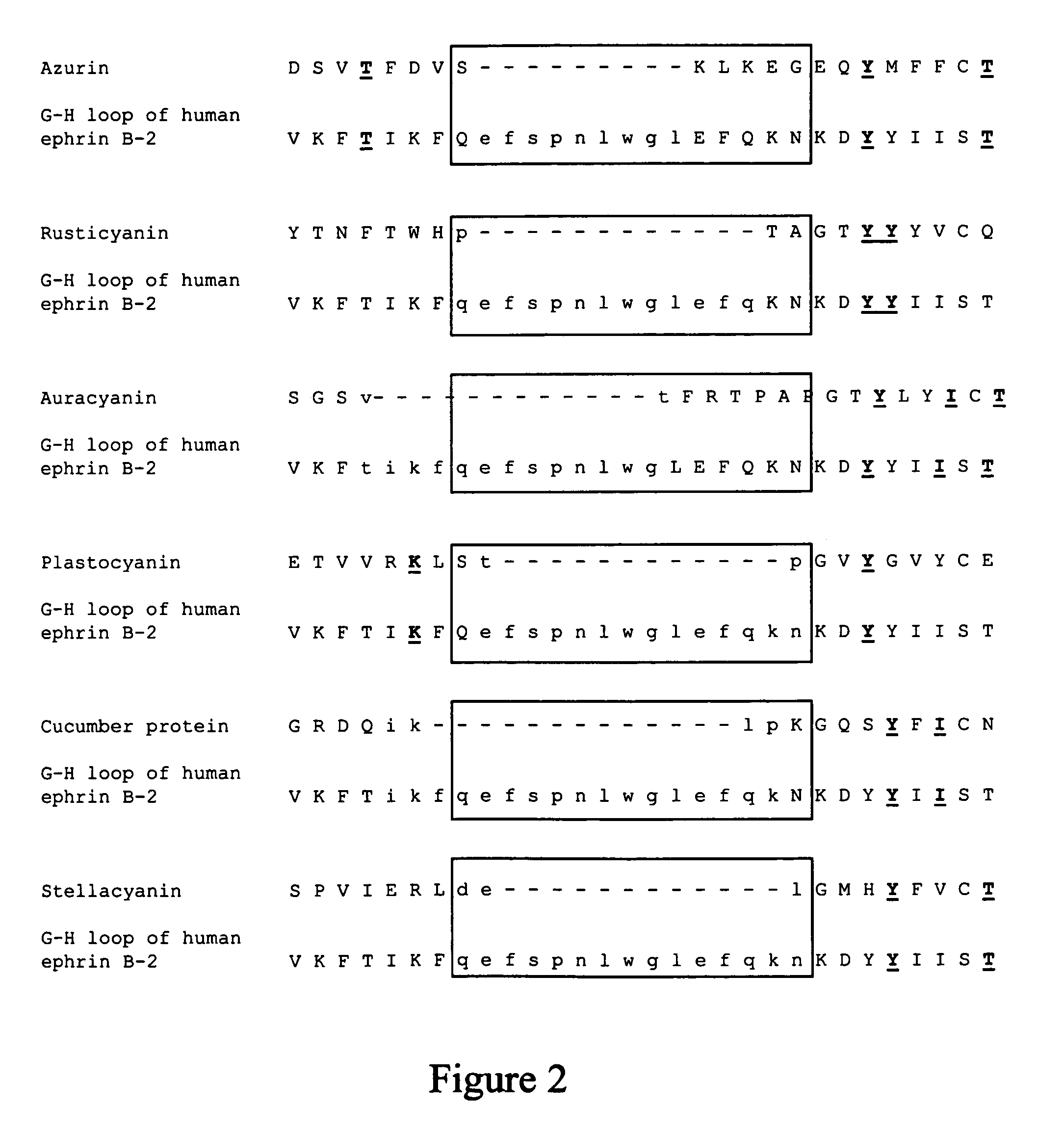 Compositions and methods for treating conditions related to ephrin signaling with cupredoxins