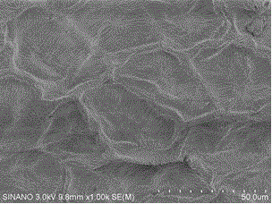 Biomimetic synthesis method of two-dimensional porous silicon oxide nanomaterial