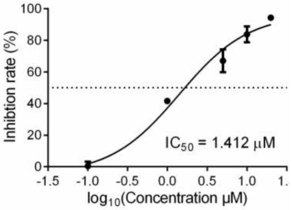 Application of benidipine in the preparation of drugs for preventing and/or treating bunyavirus infectious diseases