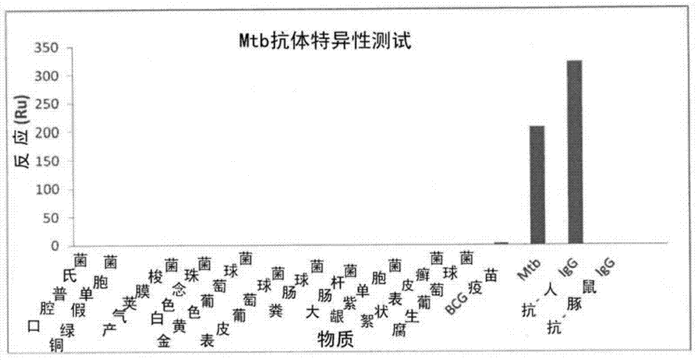 Methods of Detecting Tuberculosis