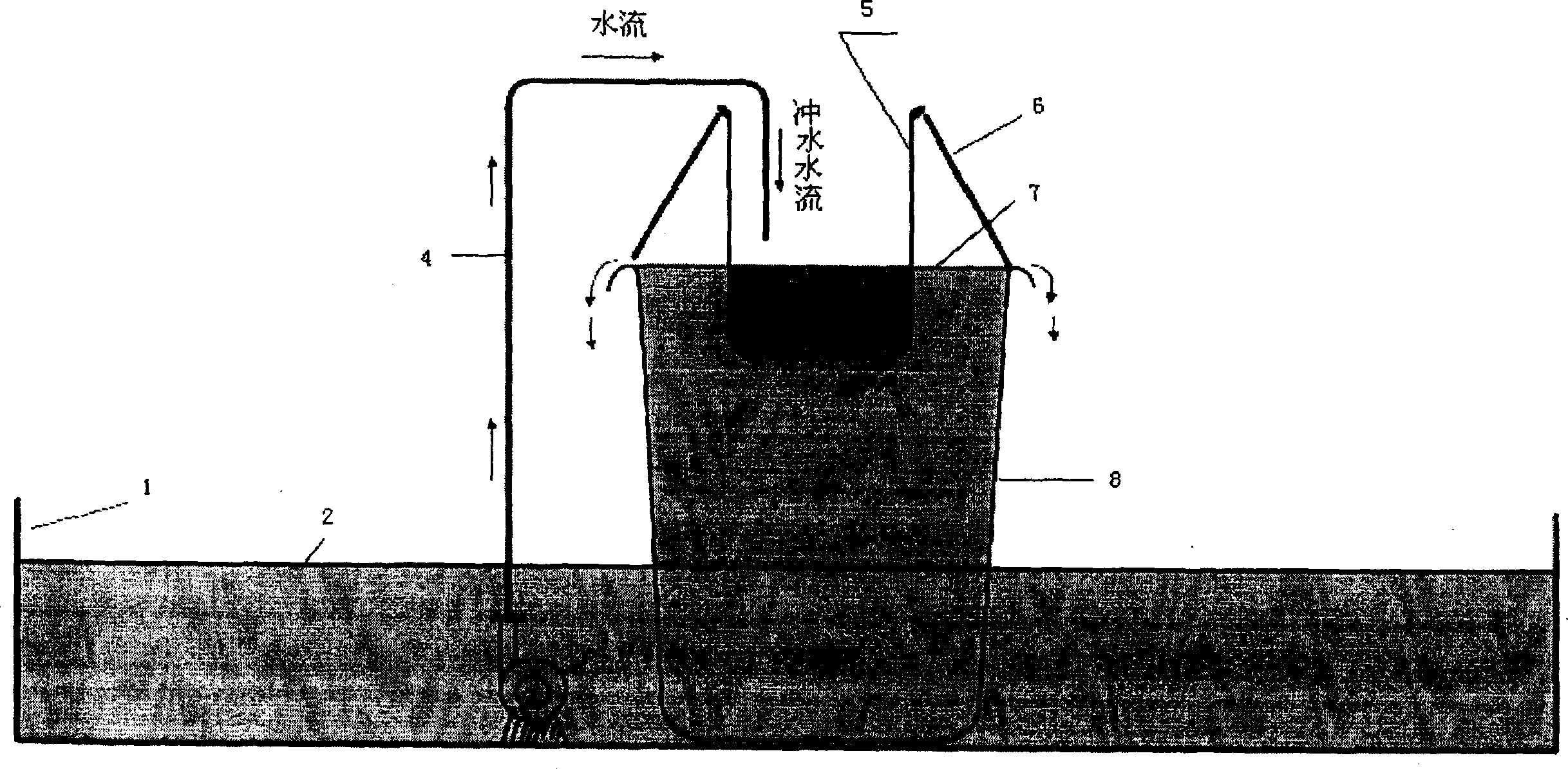 Porphyra suspended filamentous form cell ripening accelerating device and method