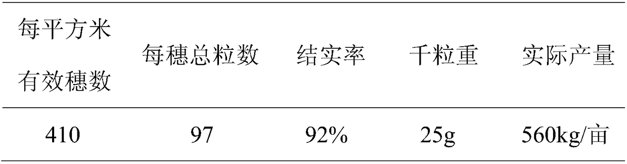 A mechanical water direct-seeding cultivation method of rice in mild saline-alkali land in the Yellow River Delta