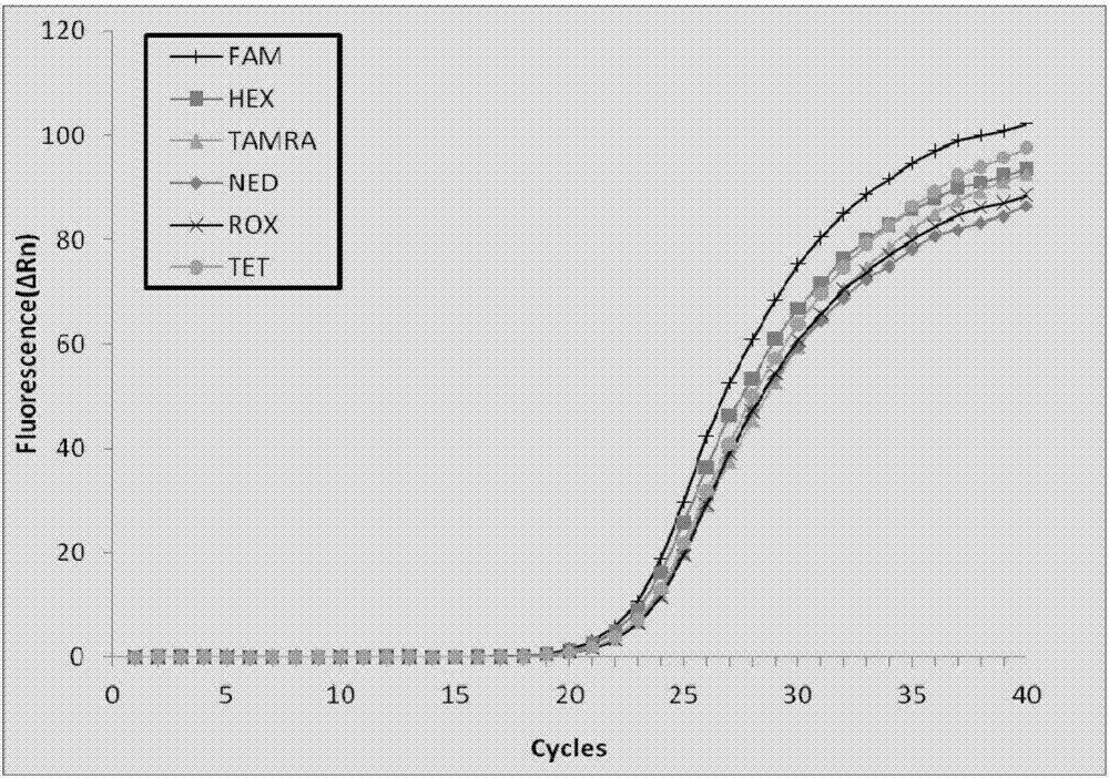 Detection kit for human fructosediphosphate aldolase B gene and detection method thereof