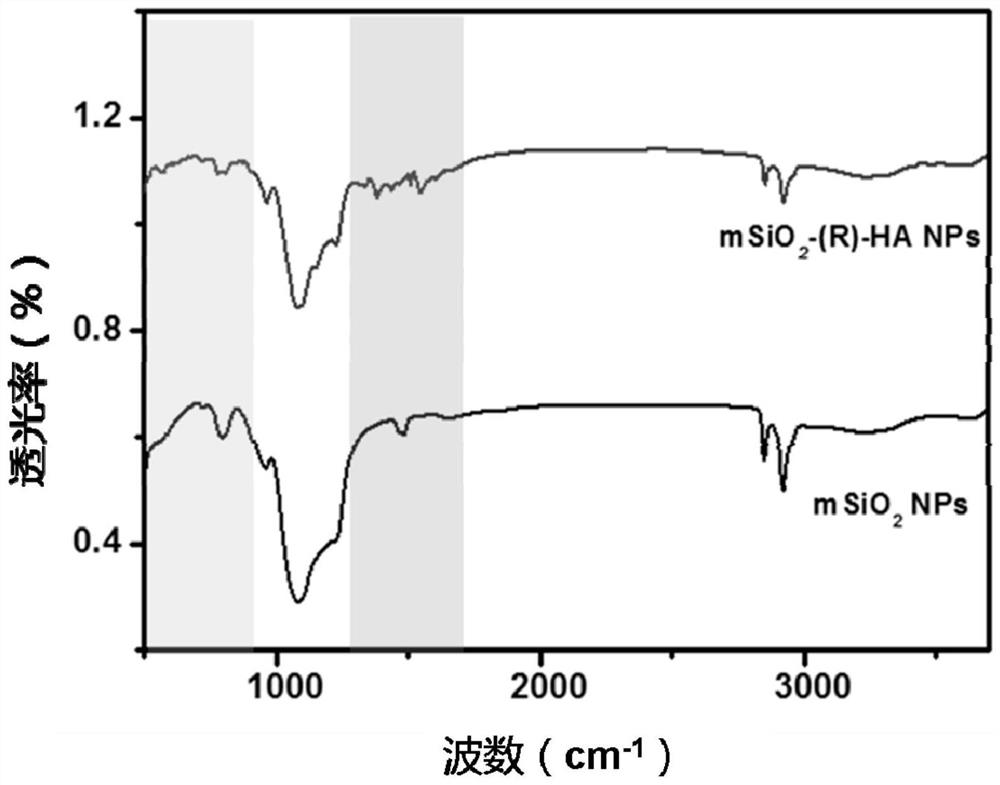 Mesoporous/hollow silica nanocarrier delivery system for targeted activation of CD44 molecules, its preparation method and use