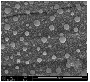 Indium composite microcrystal bump texture