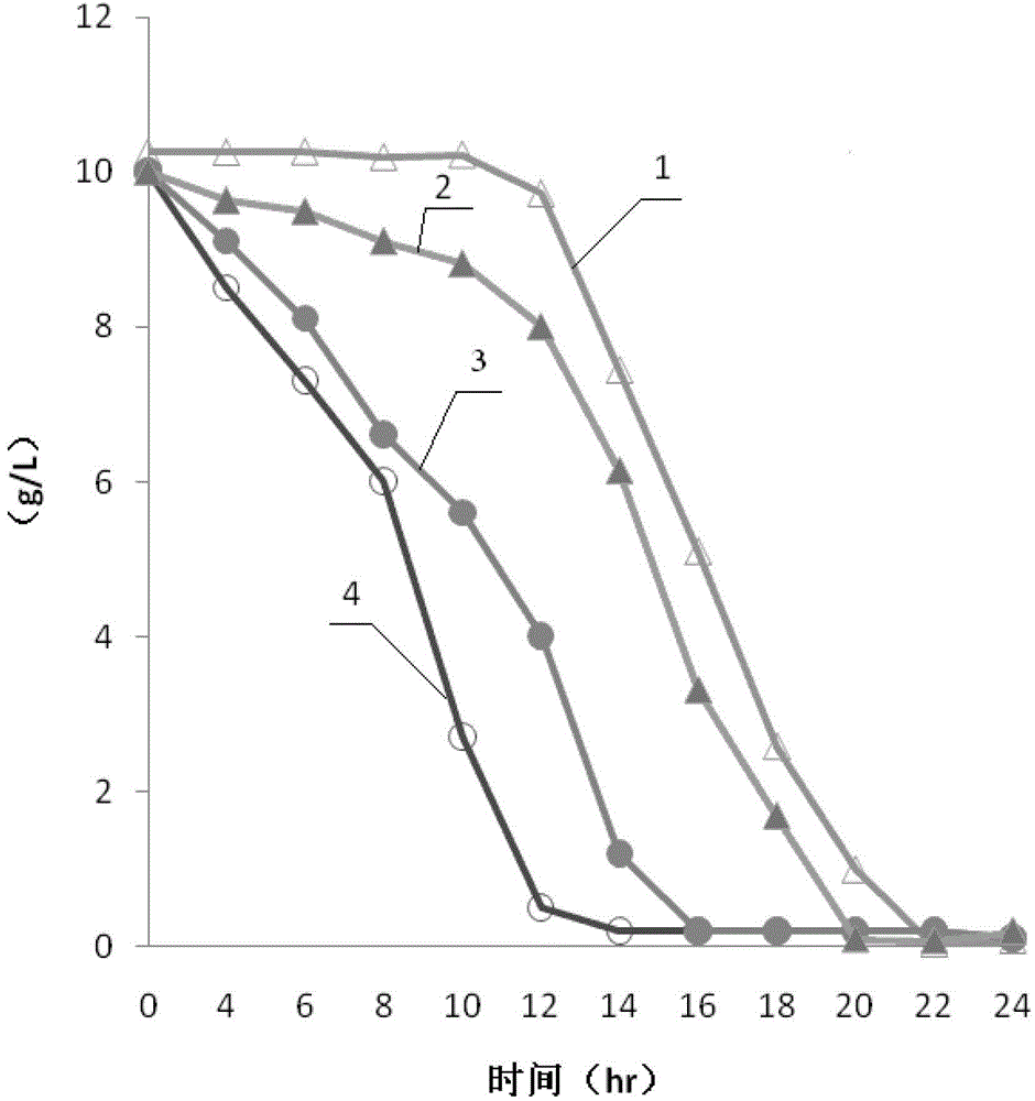 Bacterium for fermenting L-tryptophan from mixed saccharum and fermentation method thereof