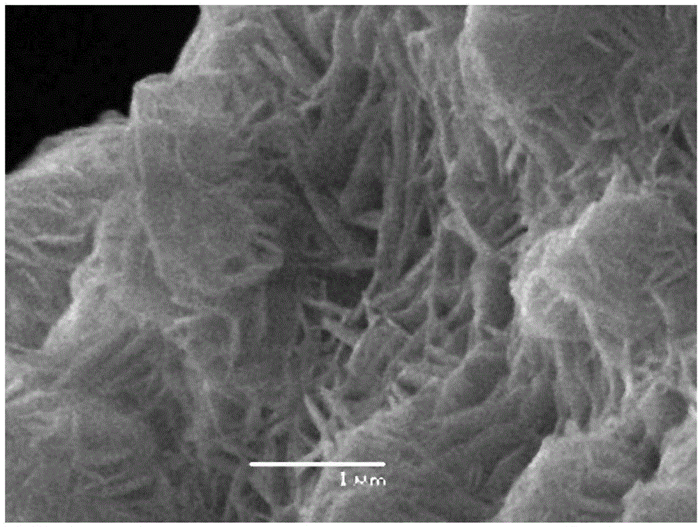Synthesis method of basic zinc chloride monocrystal nanorods