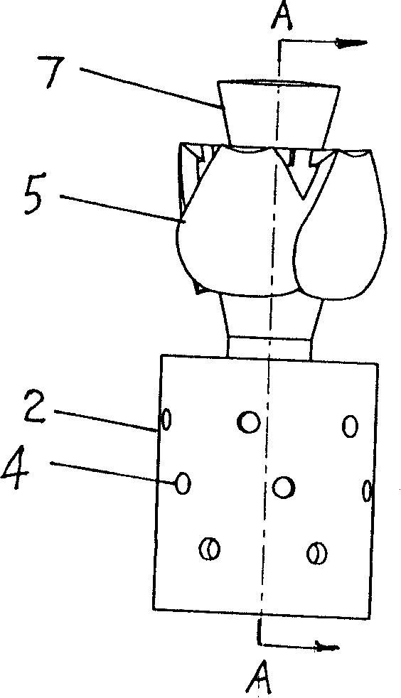 Internal support device for treating femoral head necrosis